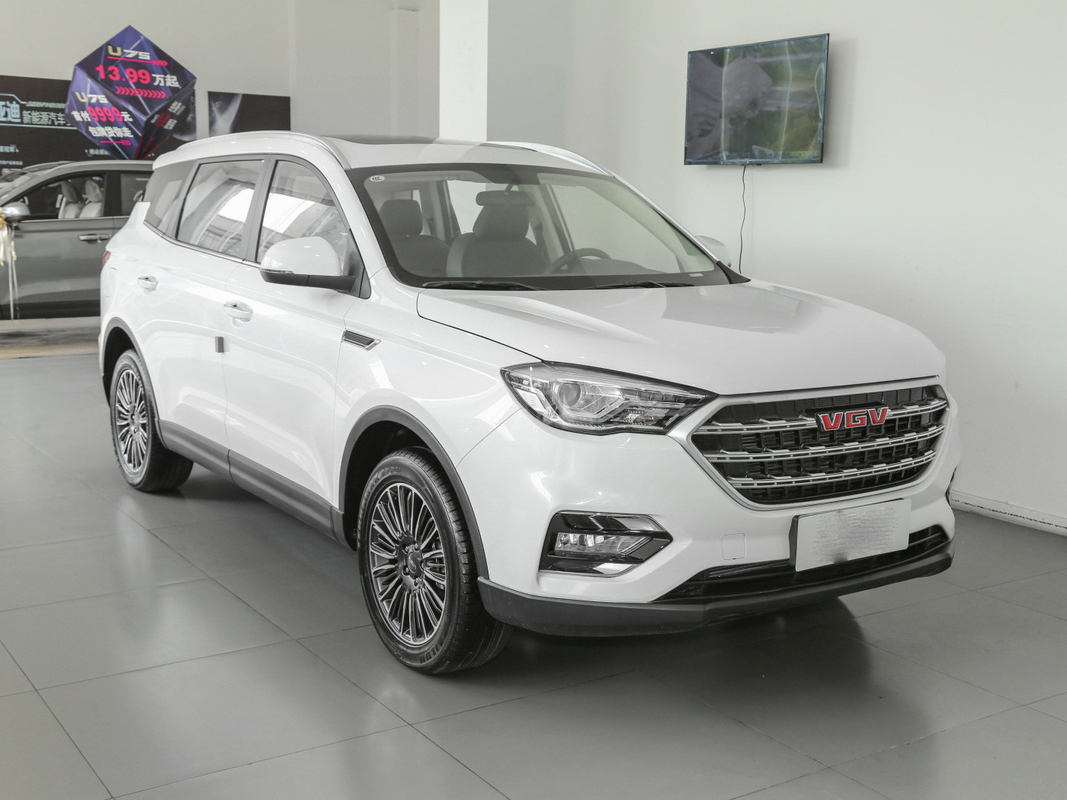 O carro branco SINOTRUK VGV do depósito de gasolina 55L 7 Seater usou SUV manual 175 km/h